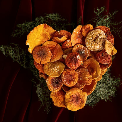 Premium Amanita muscaria – Fliegenpilz Kappen (Getrocknet)